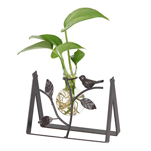 Desktop Planter Glass Vase with Bird Stand