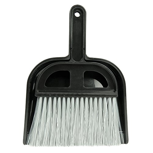 Detailer's Choice Broom and Dust Pan