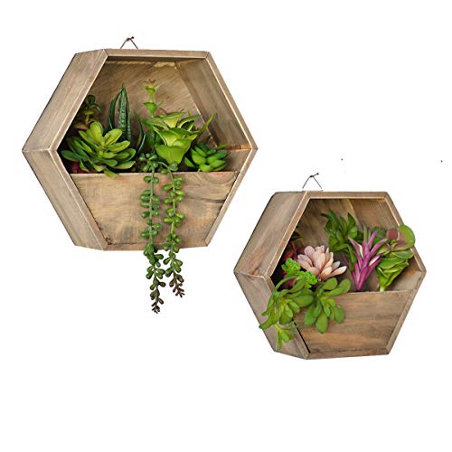 DICAHOME Artificial Succulents Wall Planter - Small