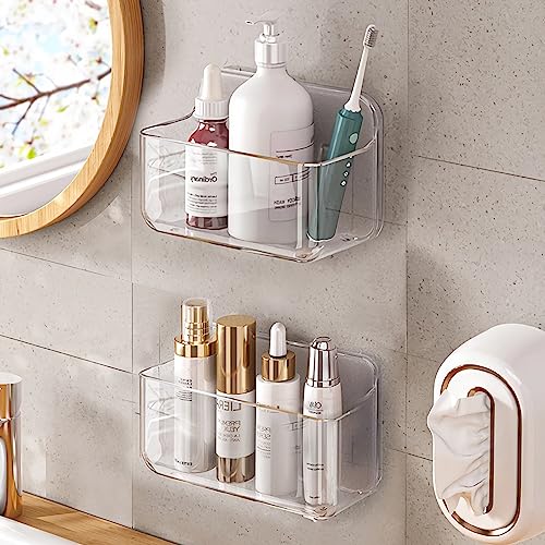 Diesisa 2pc Plastic Wall Mount Organizer