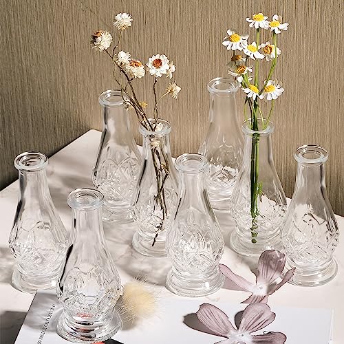 DN DECONATION Clear Bud Vase Set of 8, Small Glass Vases