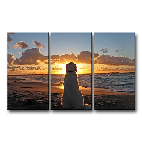 Dog and Sunset Canvas Wall Art - Modern Home Decoration