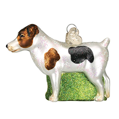 Dog Collection Glass Blown Ornaments for Christmas Tree