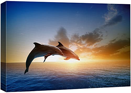 Dolphin Duo Sunset Canvas Print - 16"x24"