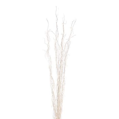 Dried Curly Willow Branches - Perfect Home Decoration and Floor Vase Filler