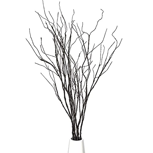FeiLix 5PCS Artificial Curly Willow Branches Decorative Dry Twigs 30.7  Inches