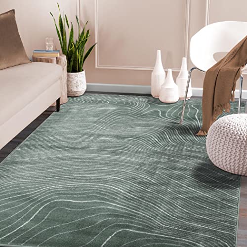 Durable and Stylish Area Rug for Modern Homes
