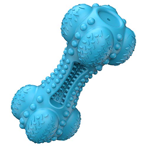 Durable Squeaky Dog Chew Toy