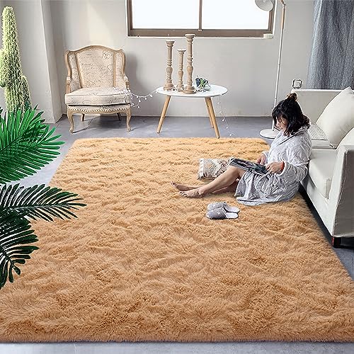 DweIke Super Soft Shaggy Rugs Fluffy Carpets