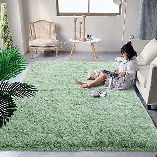 DweIke Super Soft Shaggy Rugs Fluffy Carpets