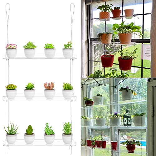 DWFeng Clear Hanging Window Plant Shelves