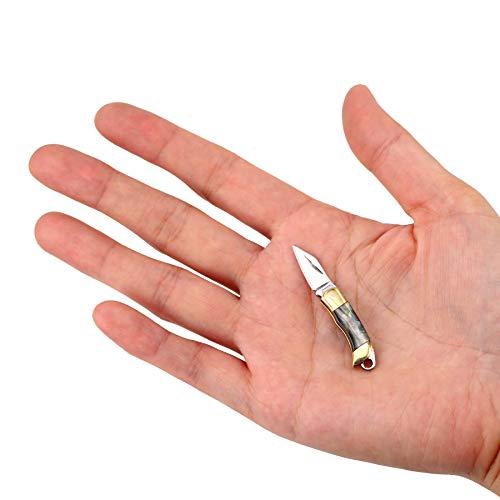 Eastern Delights EDC Ultra Smallest Pocket Knife