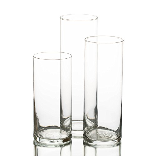 Eastland Glass Cylinder Vases 3 Pack