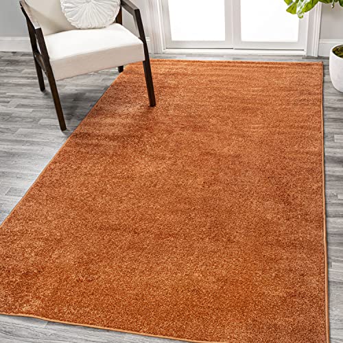 Easy-Cleaning Low-Pile Indoor Area Rug