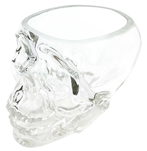 Ebros Crystal Cave Skeleton Skull Glass Bowl