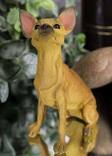 Ebros Gift Chihuahua Dog Figurine