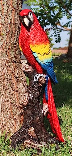 Ebros Gift Tropical Rainforest Paradise Bird Figurine