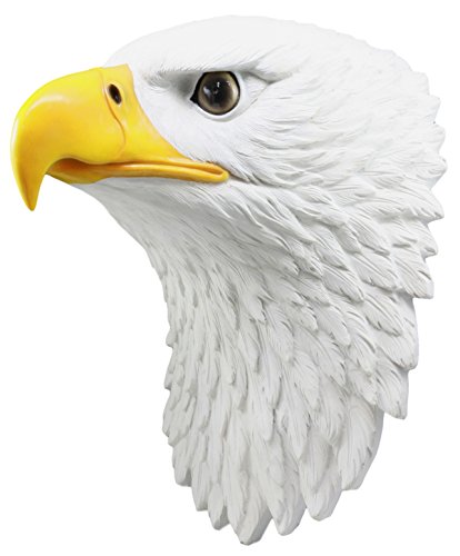 Ebros Large Bald Eagle Wall Decor