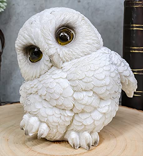 Ebros Snowy Tundra White Baby Owl Figurine