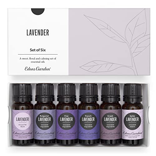 Edens Garden Lavender Essential Oil 6 Set