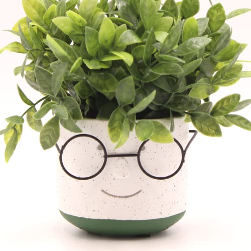 Edington Decor Face Planter Pot with Glasses - Head Planter - Flower Pot - 4 inch Plant Pot - Succulent Pot with Drainage - Unique Cute Pot for Indoor Plants (Green)