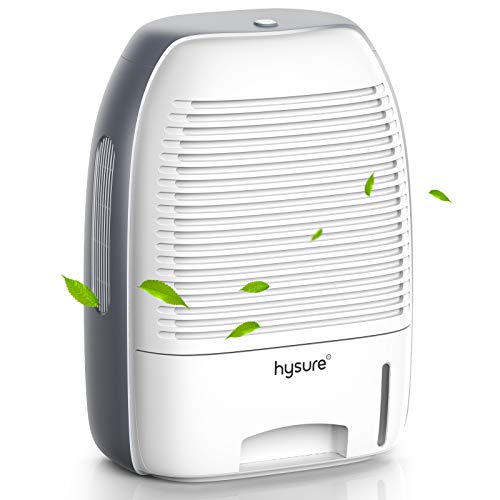 Efficient and Portable Dehumidifier