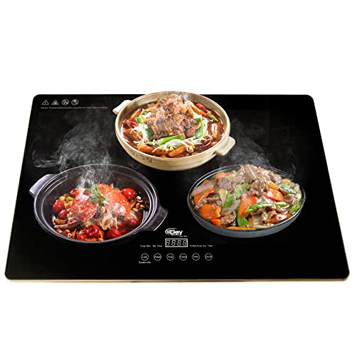 Electric Server Warming Tray for Indoor Dinner, Catering, and Parties