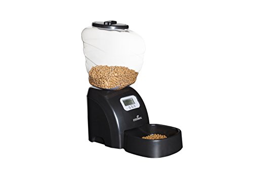 Electronic Pet Feeder