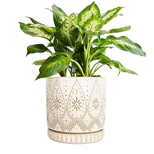 Elegant Ceramic Plant Pot with Drainage Holes and Saucers