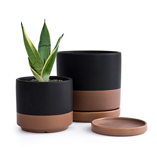 Elegant Ceramic Plant Pots Set