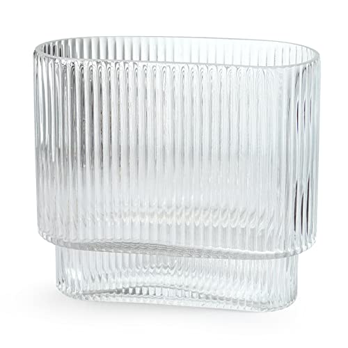 Elegant Clear Glass Vase for Home Decor