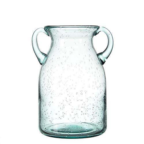 Elegant Double Ear Glass Vase for Home Decor