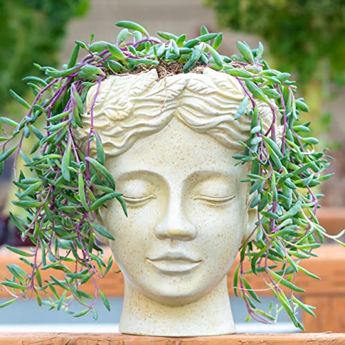 Elegant Face Planter for Indoor and Outdoor Plants