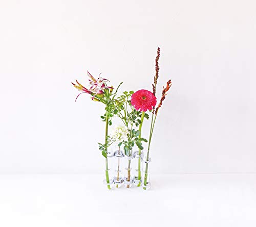 Elegant Flower Vases