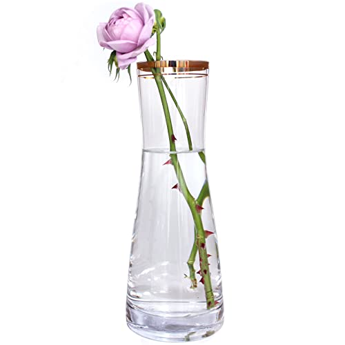 Elegant Glass Flower Vase