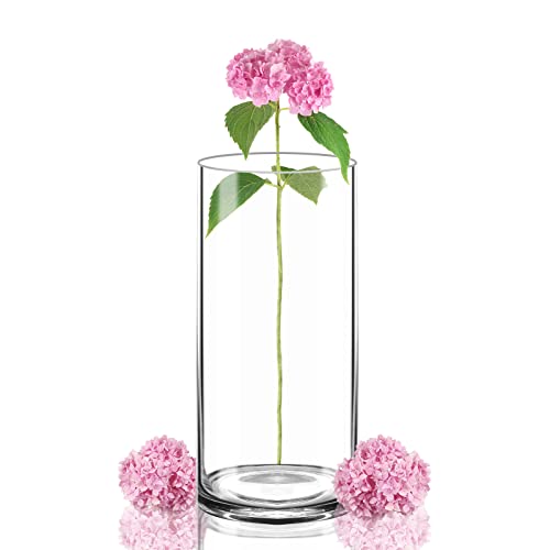 Elegant Glass Vase for Home Decoration and Events