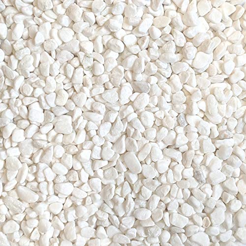 Elegant White Bean Pebbles for Stylish Decor