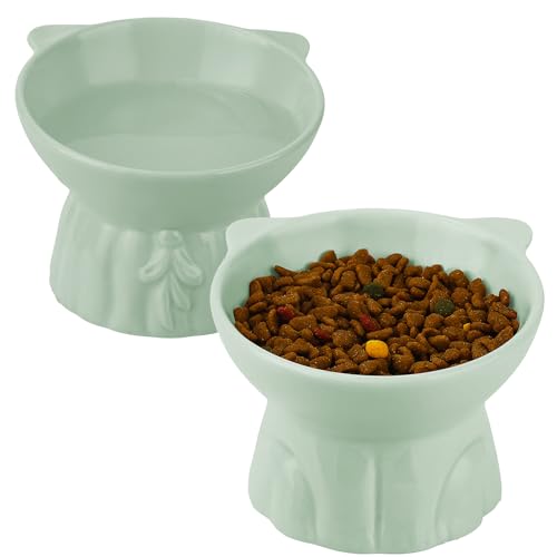 Elevated Cat Bowls – Whisker-Friendly Dish for Easy Feeding