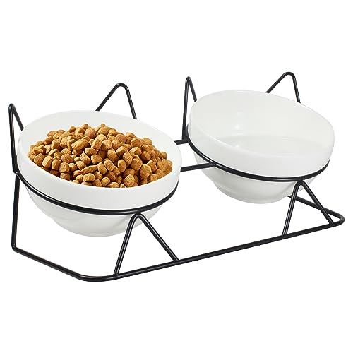 Elevated Tilted Cat Bowls for Indoor Cats