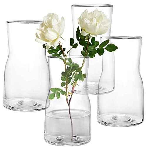 Elsjoy Set of 4 Small Glass Vases