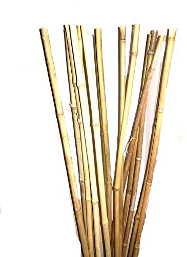 Empire Home Bamboo Stakes - Natural Yellow - Pack of 8