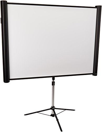 Epson ES3000 Portable Projection Screen