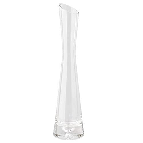 Ericotry 20cm Clear Glass Flower Vase