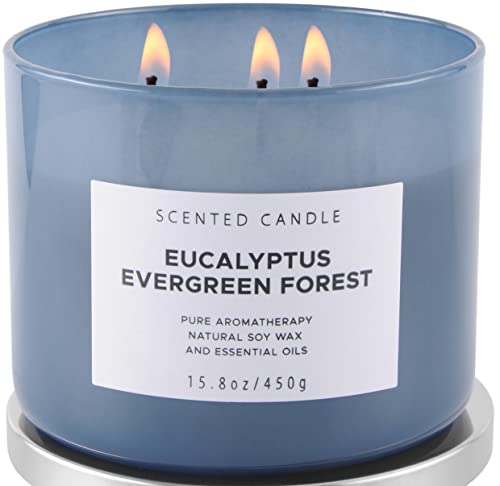 Eucalyptus Evergreen Forest Luxury 3 Wick Candle