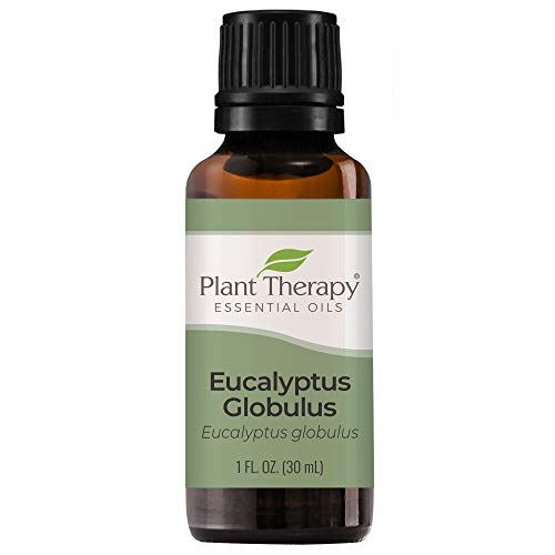 Eucalyptus Globulus Essential Oil 30 mL