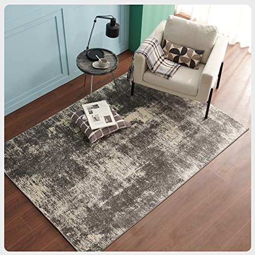 Eviva Living Room Rugs Grey - 5x7 Area Rug for Bedroom