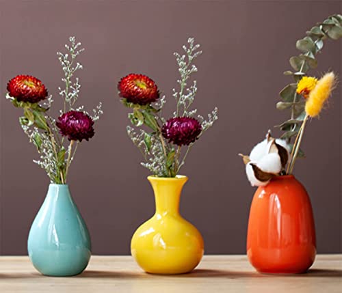 EWEIGEER Ceramic Colorful Flower Vases for Home Desk Bookshelf Decoration, Set of 3