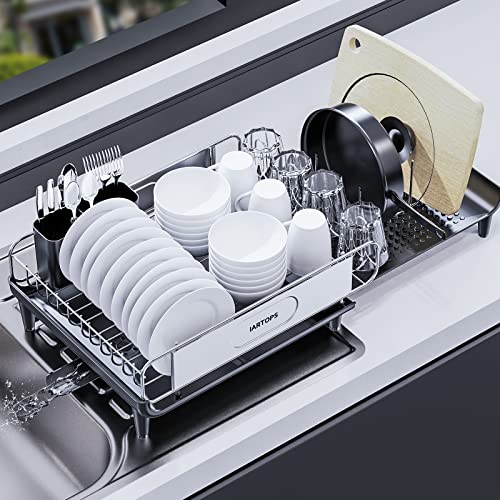 Expandable Stainless Steel Dish Rack