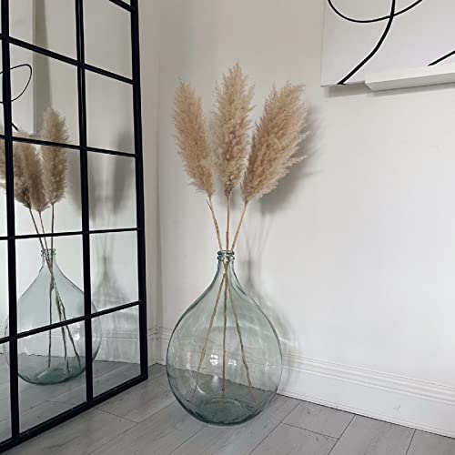 Extra Large Floor Glass Vase for Tall Pampas Grass