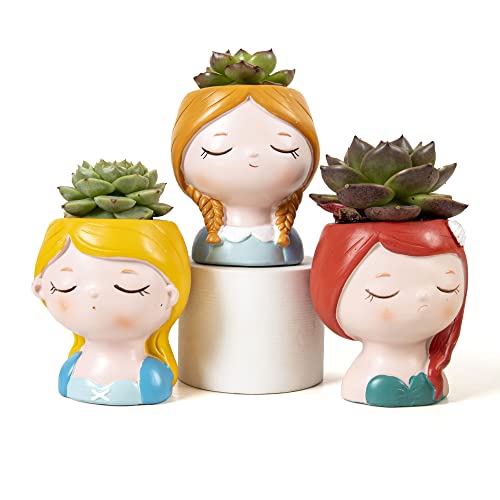 Fairy Tale Succulent Pots